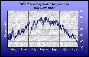 Water Temperature- 2005