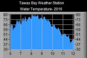Water Temperature- 2016